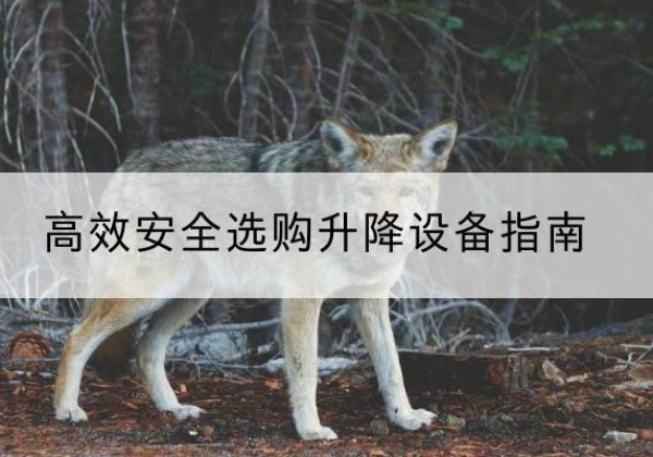 红安升降货梯厂家推荐-*安全选购升降设备指南