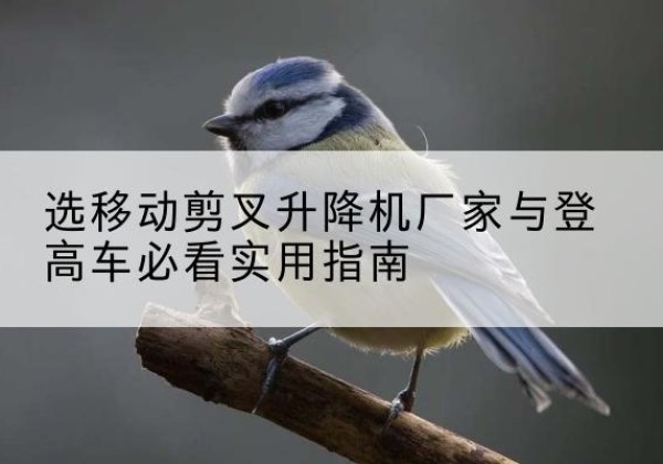红安电动升降机厂家-选移动剪叉升降机厂家与登高车必看实用指南