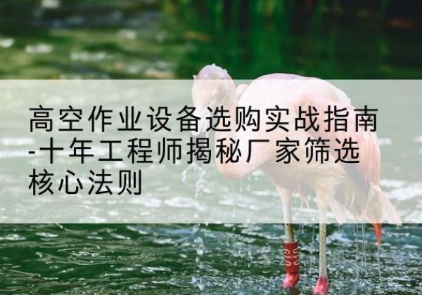 红安剪叉式升降机厂家-高空作业设备选购实战指南-十年工程师揭秘厂家筛选核心法则