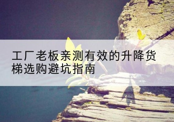 红安升降货梯怎么选-工厂老板亲测有效的升降货梯选购避坑指南
